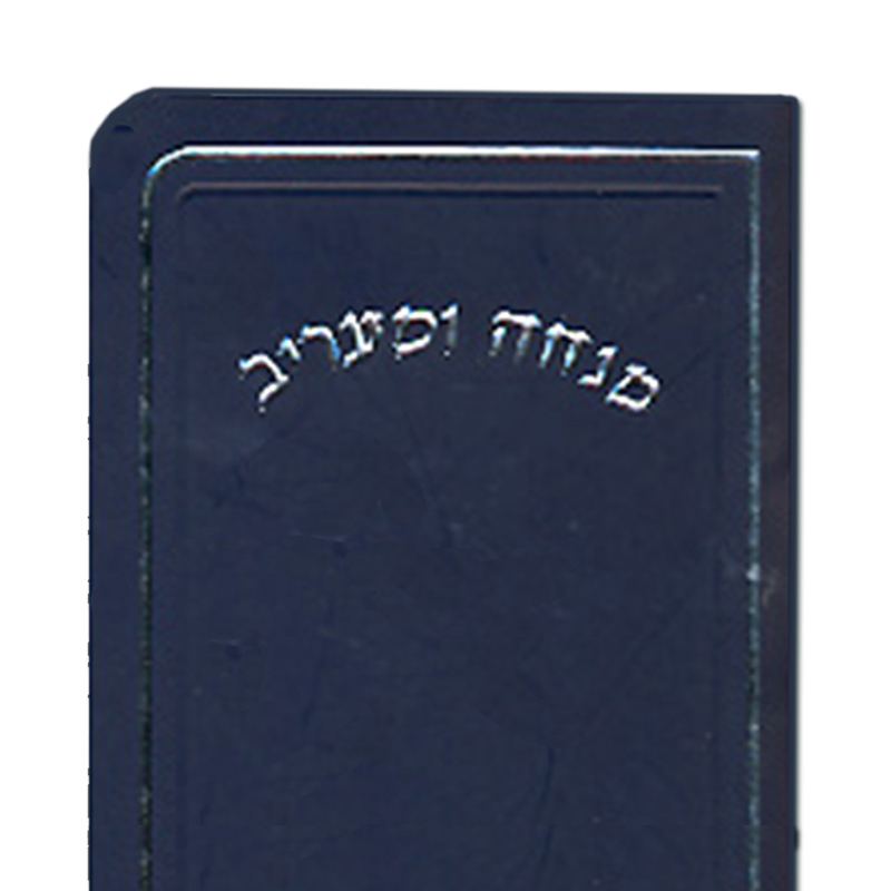 Mini Sized Mincha-Ma'ariv