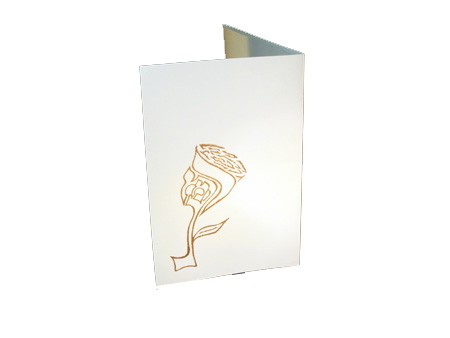 Wedding Invitation Sample